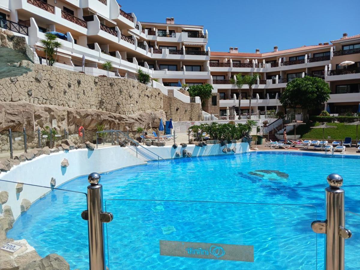 Chillout Studio Albatros In Toller Anlage Mit Pool San Miguel de Abona Dış mekan fotoğraf